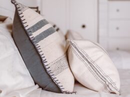 white and blue throw pillows on white bed